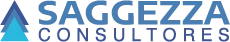Saggezza Consultores, consultoría en certificación ISO
